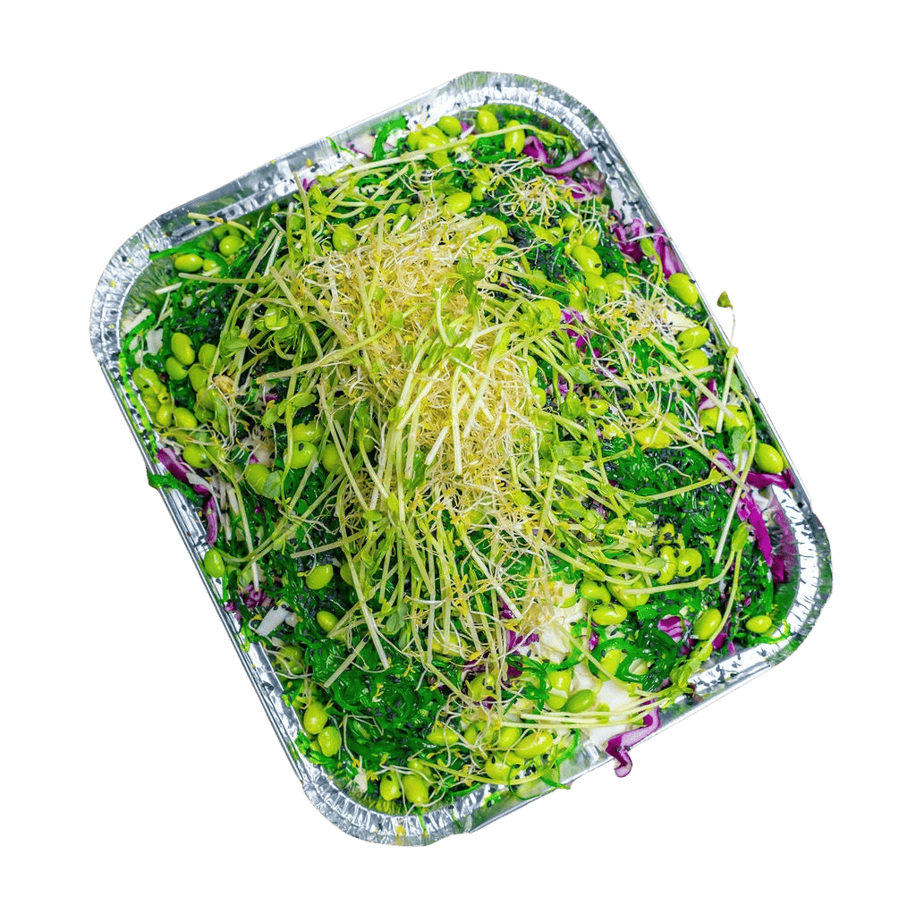 Japanese Slaw